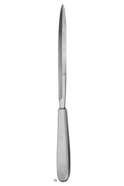 large 1129 11