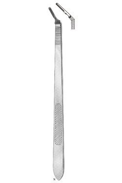 large 1221 12