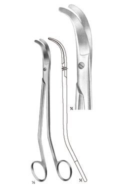 large 1290 61
